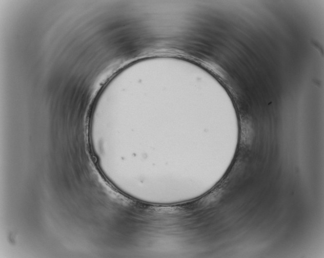 X0000102261430200808221405