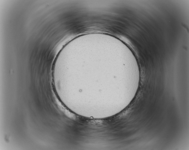 X0000102261431200808221405