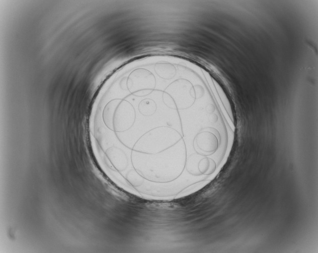 X0000102261432200808221405