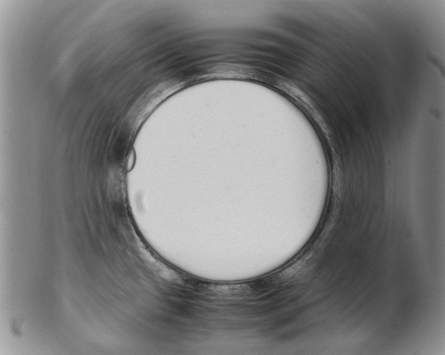 X0000102261433200808221405
