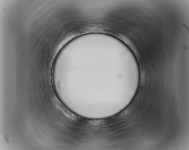 X0000102261435200808221405