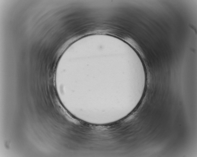 X0000102261436200808221405