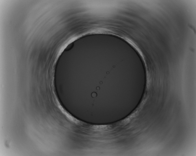 X0000102261437200808221405