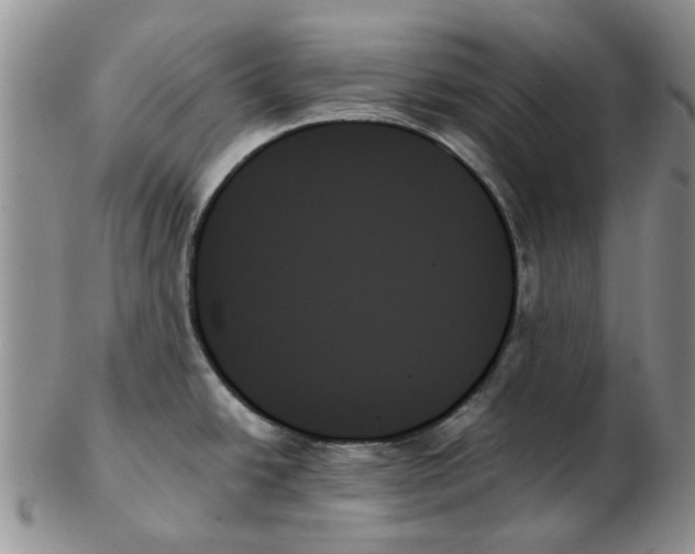 X0000102261438200808221405