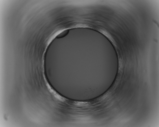 X0000102261439200808221405