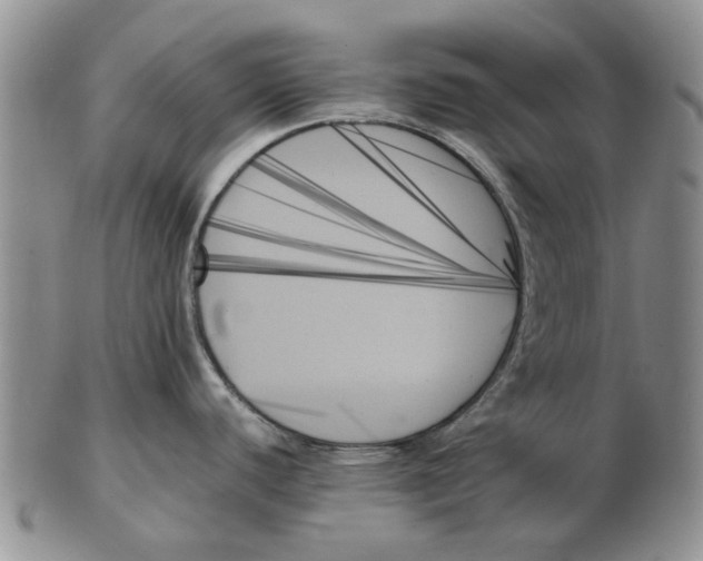 X0000102261440200808221405
