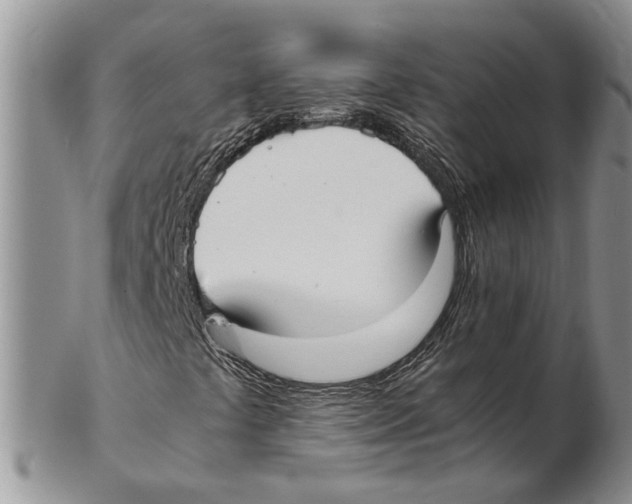 X0000102261441200808221404