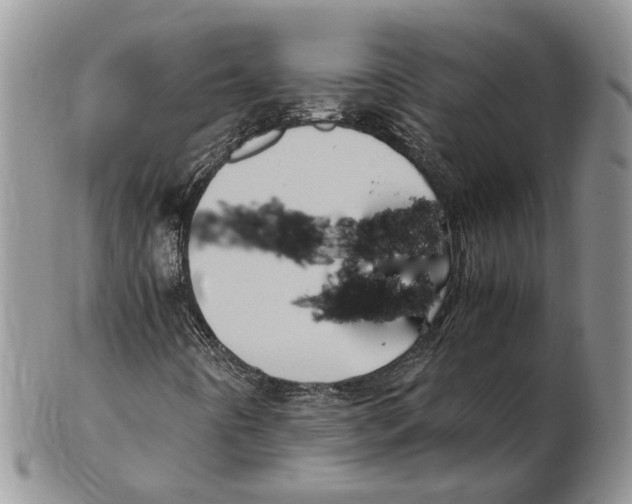 X0000102261442200808221404