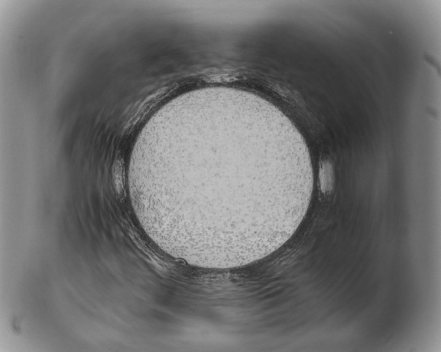 X0000102261444200808221404