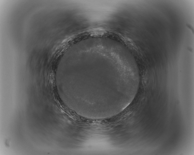 X0000102261445200808221404