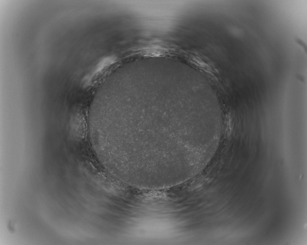 X0000102261446200808221404