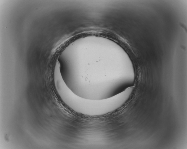 X0000102261448200808221404
