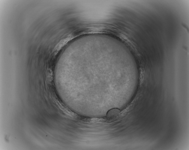 X0000102261449200808221404