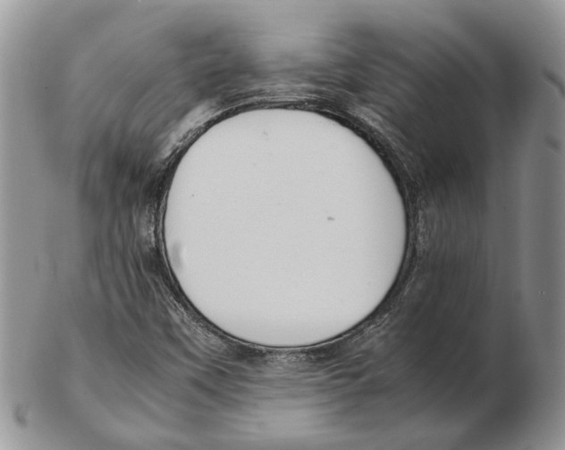 X0000102261451200808221404