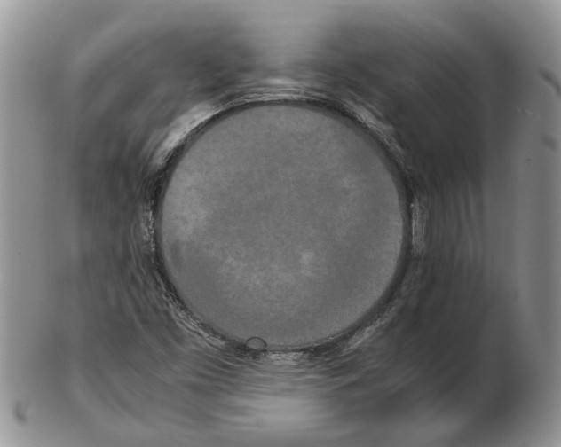 X0000102261453200808221404
