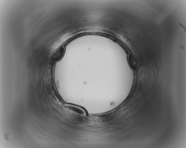 X0000102261456200808221404