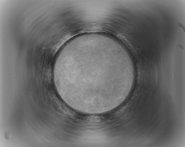 X0000102261457200808221404