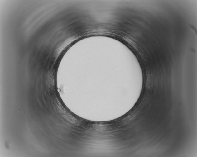 X0000102261458200808221404