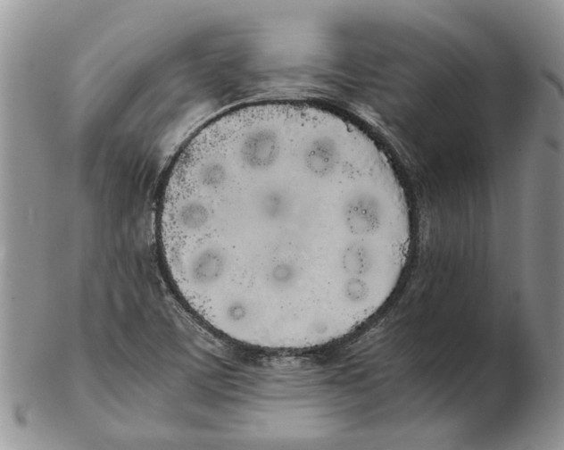 X0000102261459200808221404