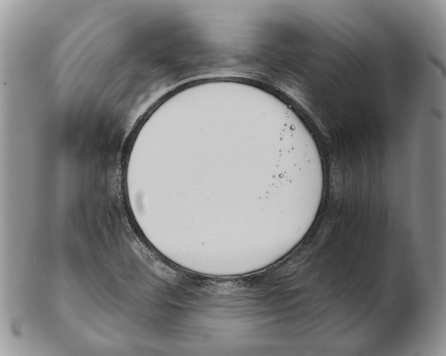 X0000102261460200808221404