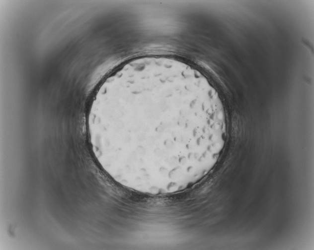 X0000102261461200808221404