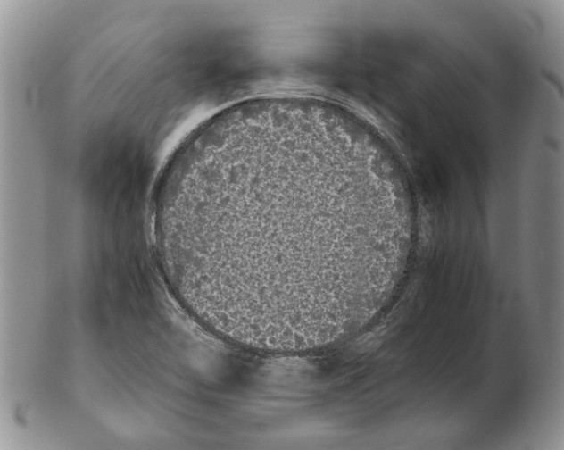X0000102261462200808221404