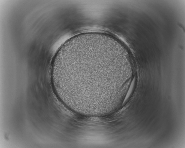 X0000102261463200808221404