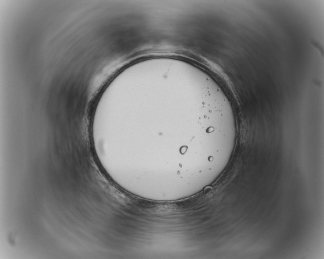 X0000102261464200808221404