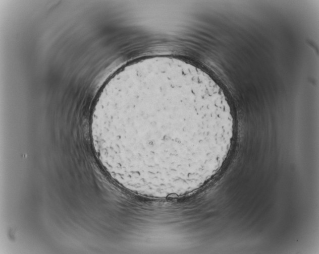 X0000102261465200808221404
