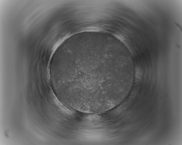 X0000102261466200808221404