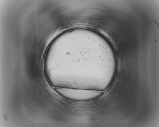 X0000102261467200808221404