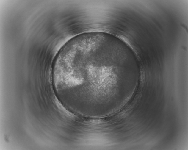 X0000102261468200808221404