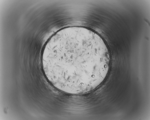 X0000102261469200808221404