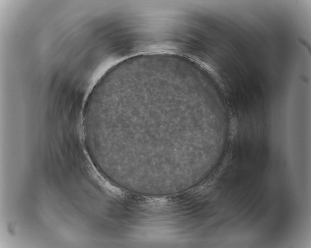 X0000102261470200808221404