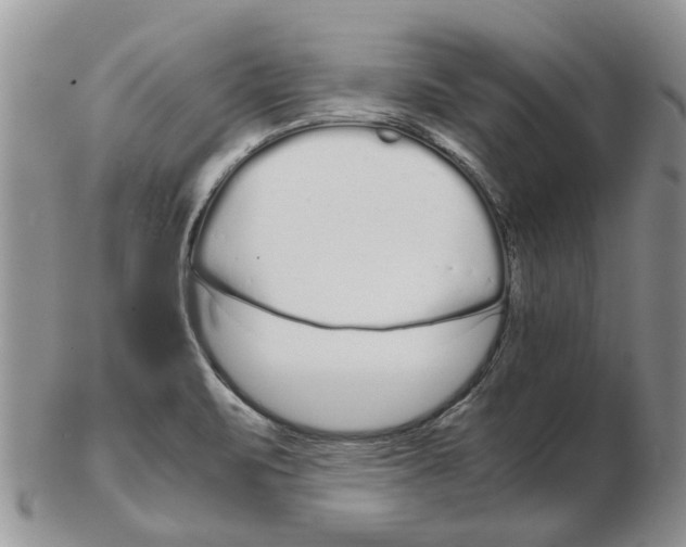 X0000102261471200808221404