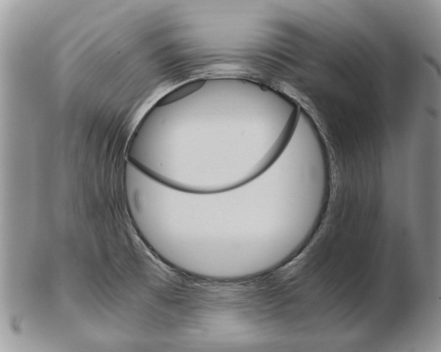 X0000102261473200808221404