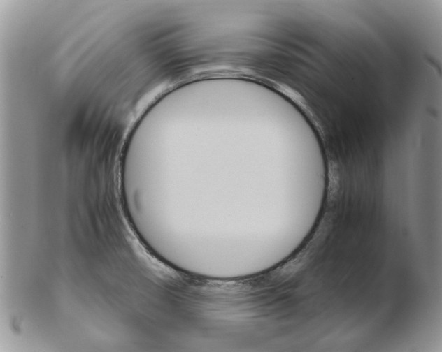 X0000102261474200808221404