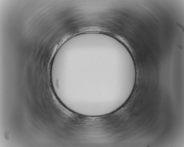 X0000102261475200808221404