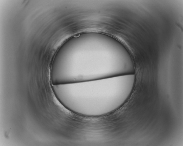 X0000102261476200808221404