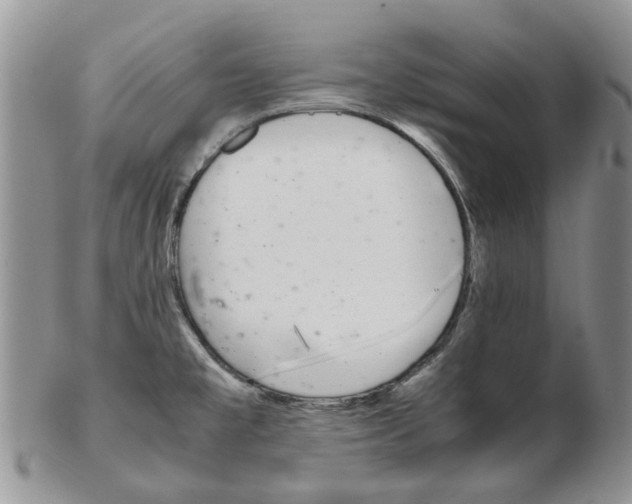 X0000102261477200808221404