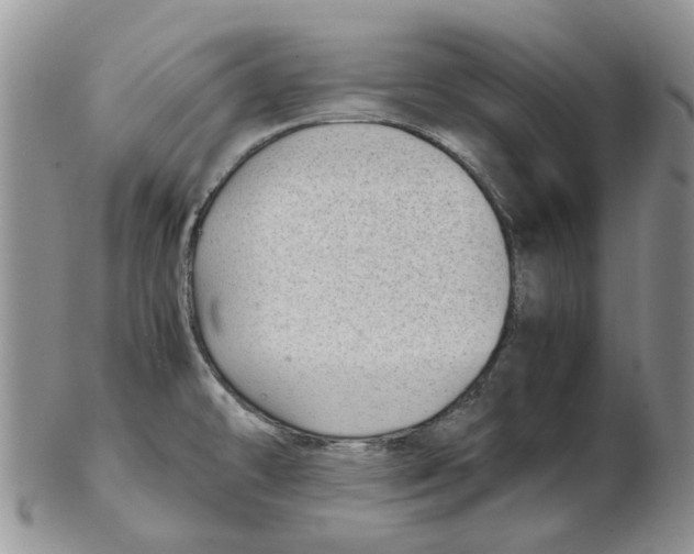 X0000102261478200808221404