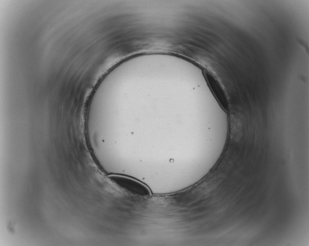X0000102261480200808221404