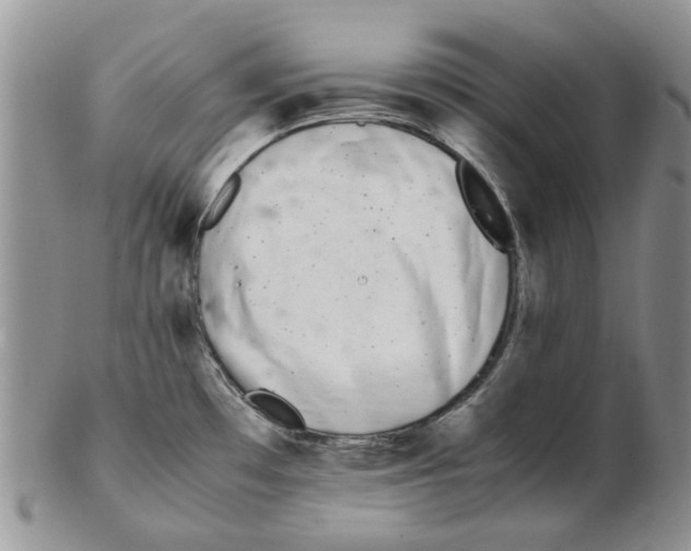X0000102261481200808221404