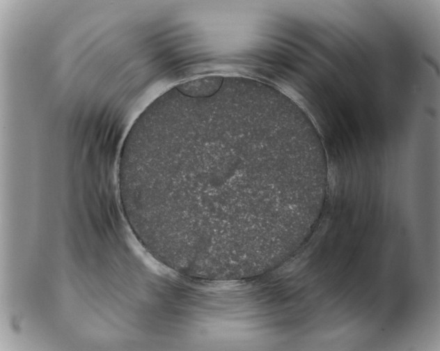 X0000102261482200808221404