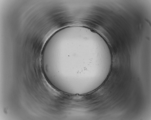X0000102261484200808221404