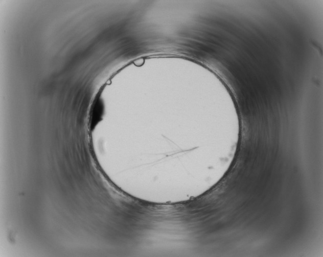 X0000102261485200808221404