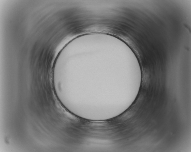 X0000102261486200808221404
