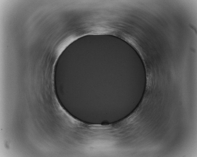X0000102261487200808221404