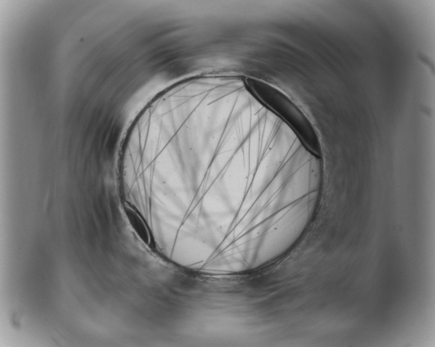X0000102261488200808221404