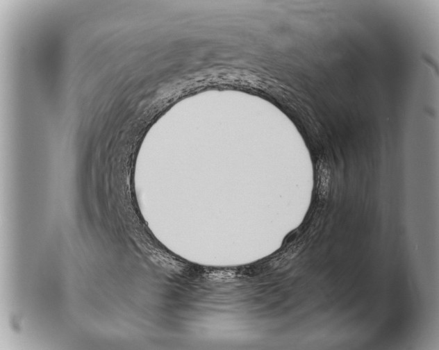 X0000102261489200808221403